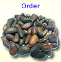Order In Shell Pine Nuts